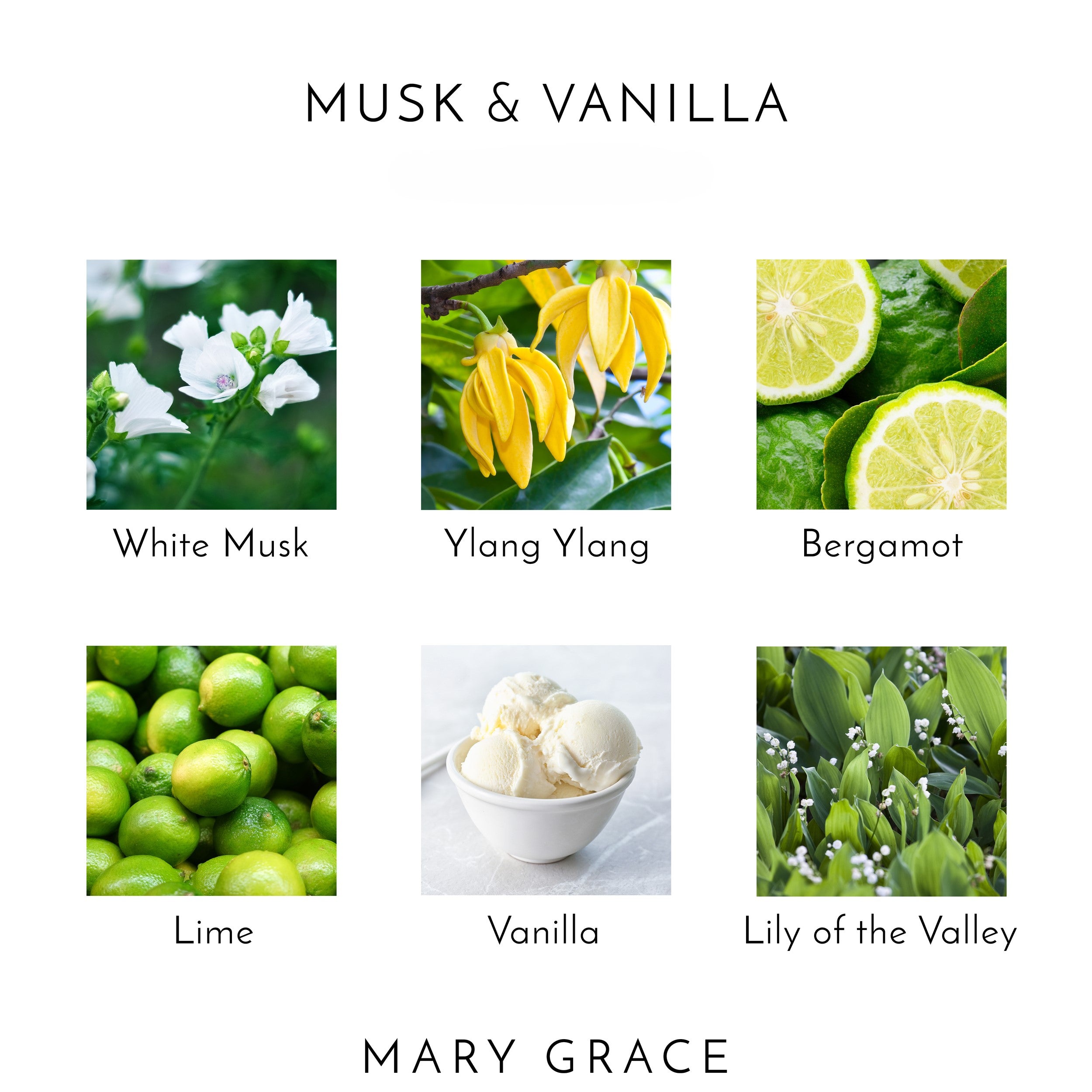 Musk &amp; Vanilla Hand &amp; Body Lotion TESTER